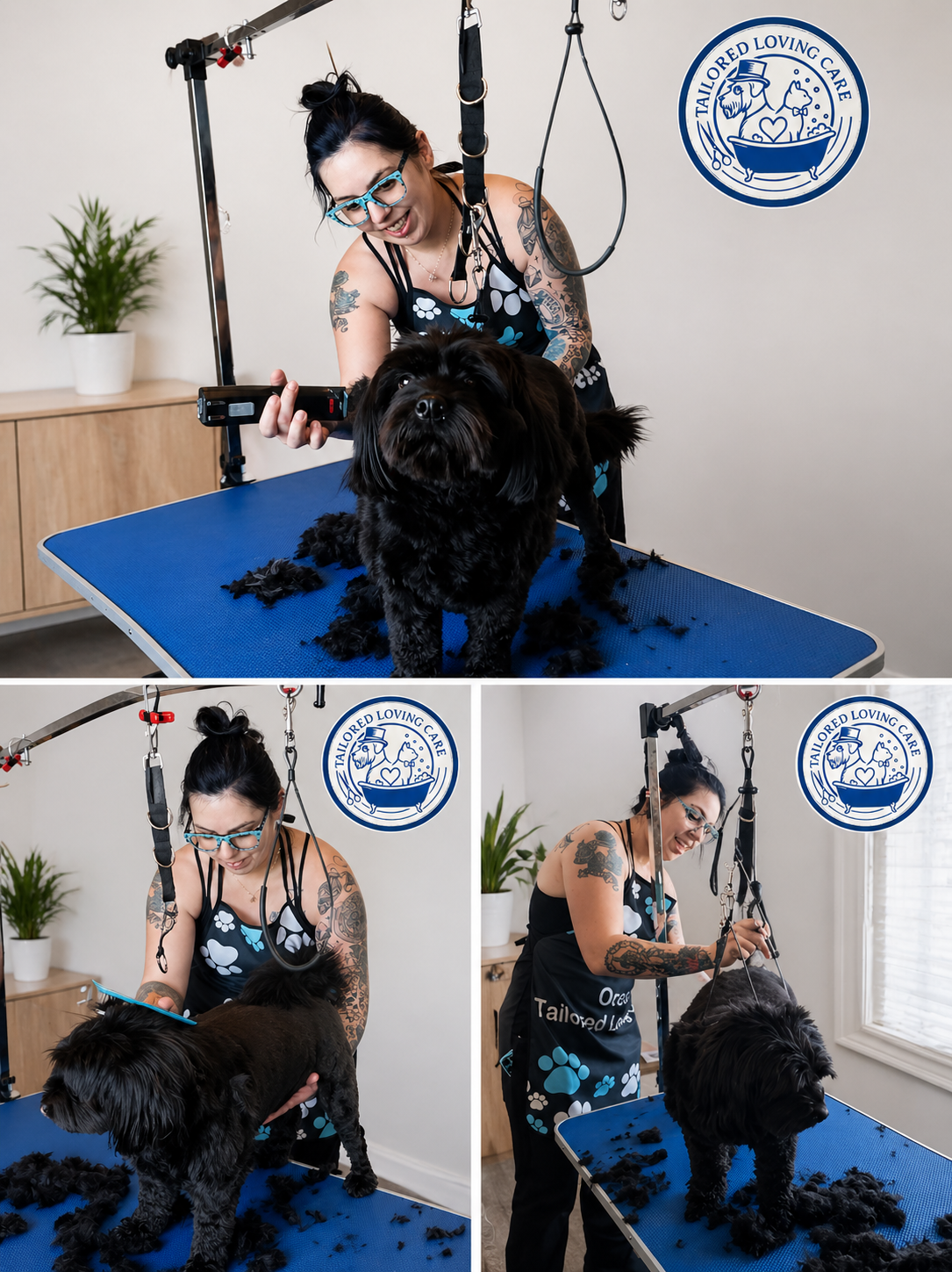Oreana grooming a pet at Tailored Loving Care
